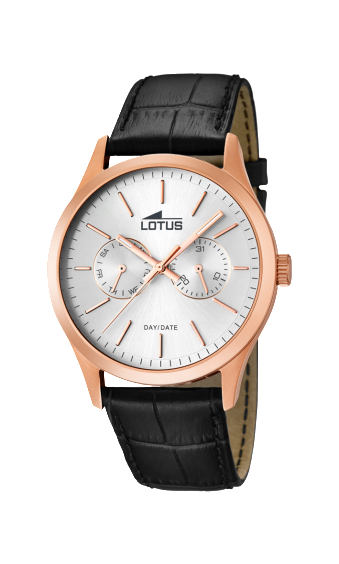 l15958_1 copia l15958_1 copia