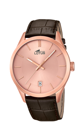 l18113_1 copia l18113_1 copia