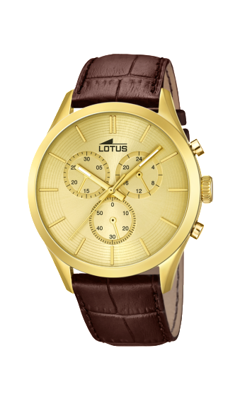 l18120_1 copia l18120_1 copia