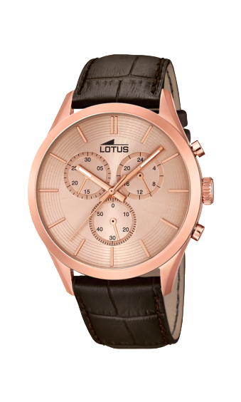 l18121_1 copia l18121_1 copia